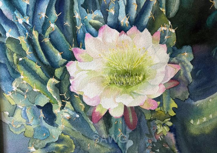 Glorious Bloom by Carolyn Streed